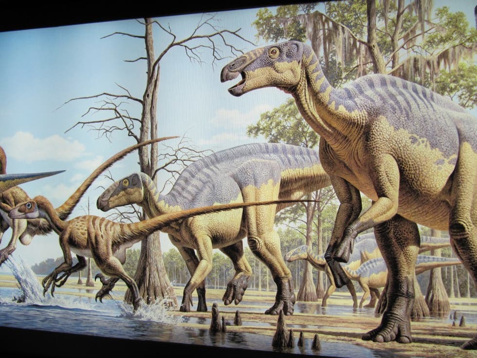 Mural del Museo de los Dinosaurios de Arén.
