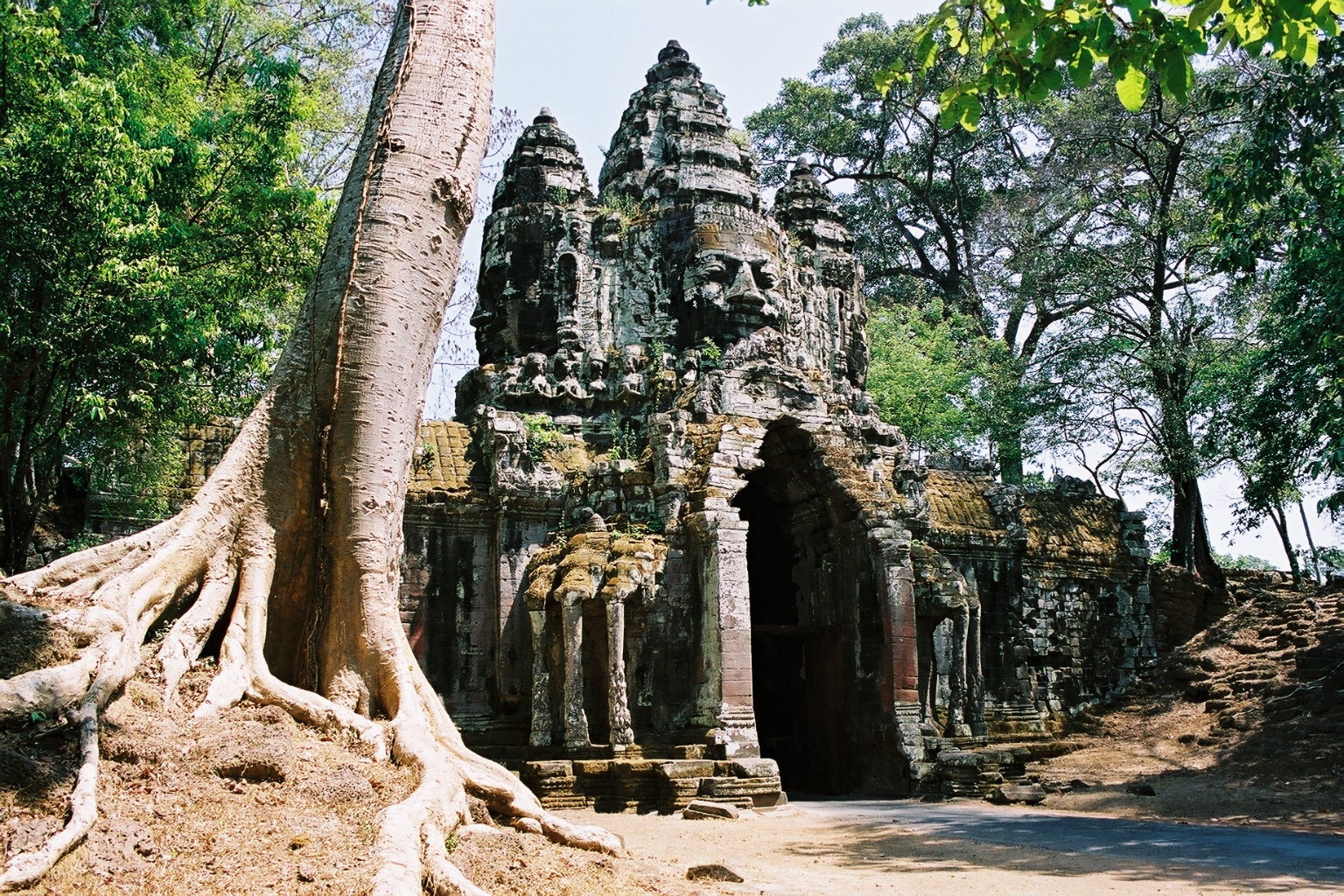 ta Prohm guia de los templos de angkor